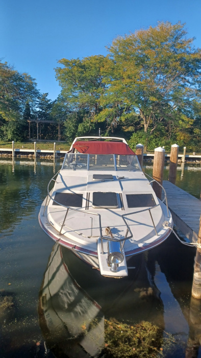 1987 Bayliner Contessa - For Sale at Spring Park, MN 55384 - ID 501273