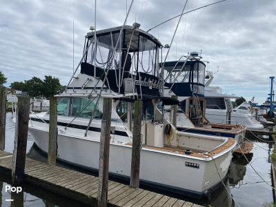 1978 Bertram 35 Sportfish
