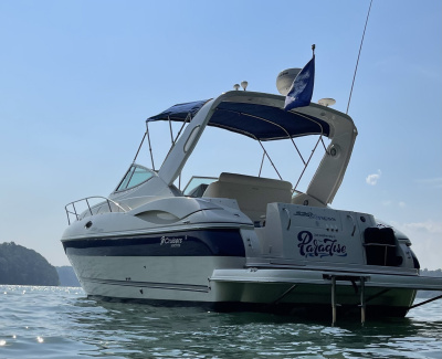 2005 Cruisers 320 Express