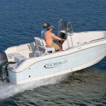 2024 Robalo