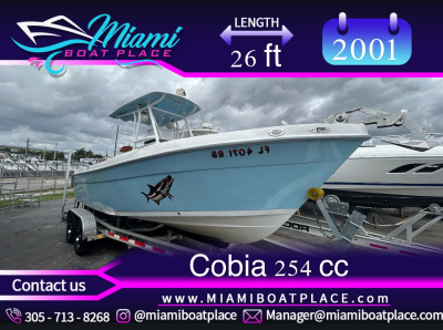 2001 Cobia 254 cc
