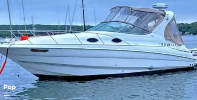 2005 Larson Cabrio 290