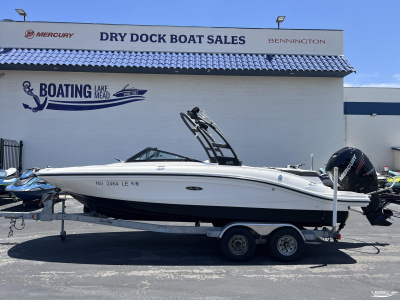 2018 Sea Ray SPX210 OUTBOARD