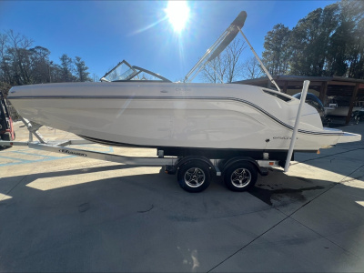 2021 Bayliner DX 2200