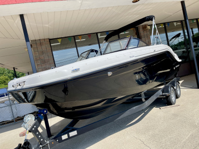 2024 Bayliner DX2250