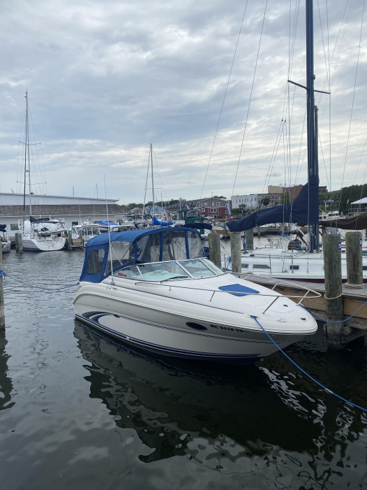 2001 Sea Ray 245WE - For Sale at Coopersville, MI 49404 - ID 579352