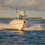 2026 Boston Whaler