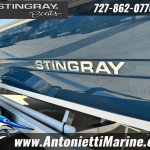 2026 Stingray