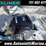 2025 Bayliner