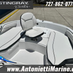 2026 Stingray