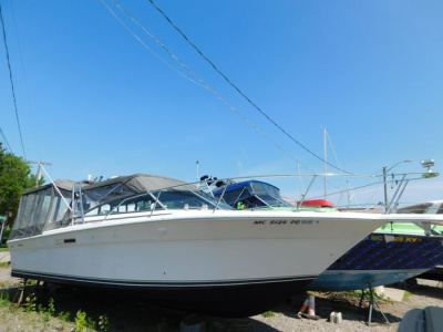 1993 Sea Ray 310 Amberjack