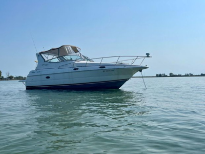 2001 Cruisers 3075 Express