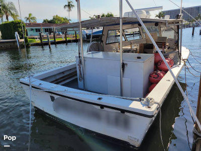 1989 Island Hopper 31 HT
