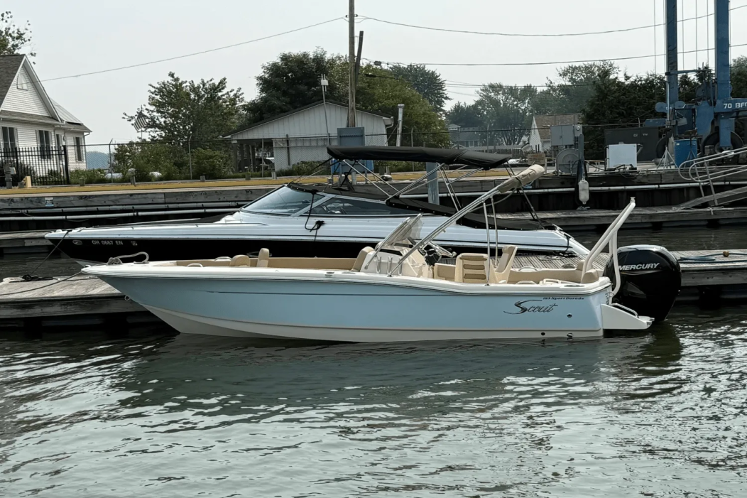 2025 Scout 195 Sport Dorado - For Sale at Lakeside Marblehead, OH 43440 - ID 576665
