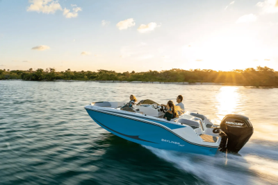 2025 Bayliner M17