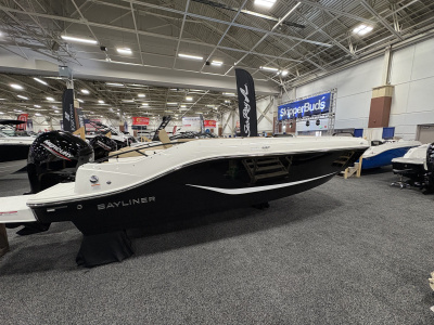 2025 Bayliner D20
