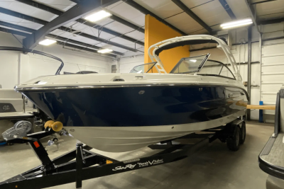 2025 Sea Ray 250 SDX