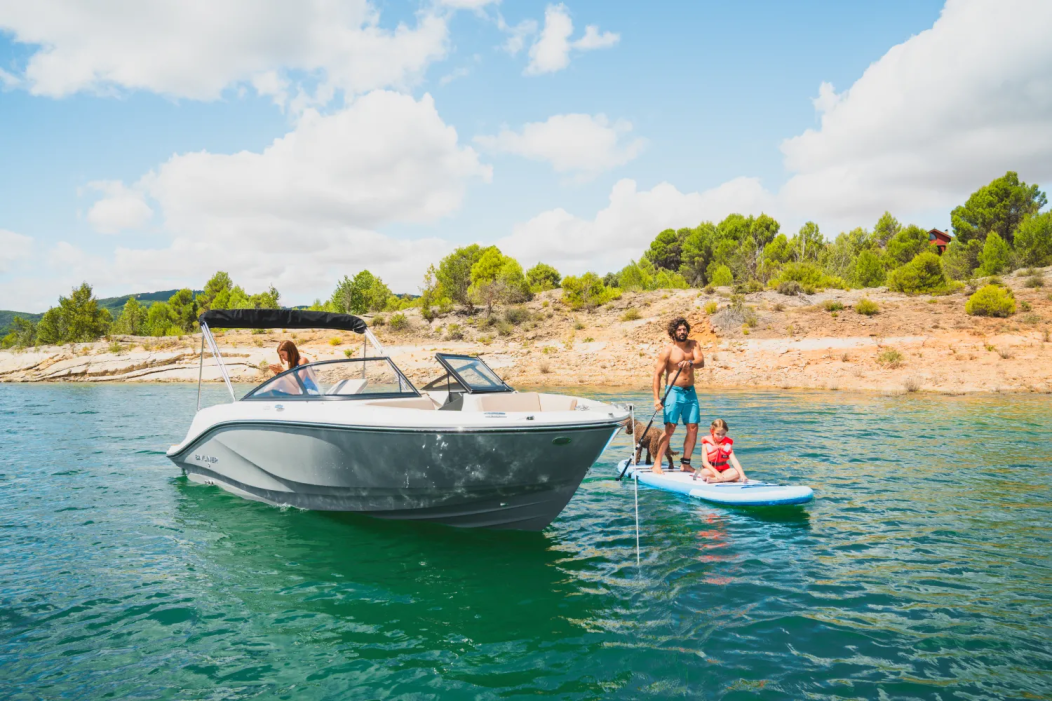 2025 Bayliner V20I - For Sale at Madison, WI 53704 - ID 583941