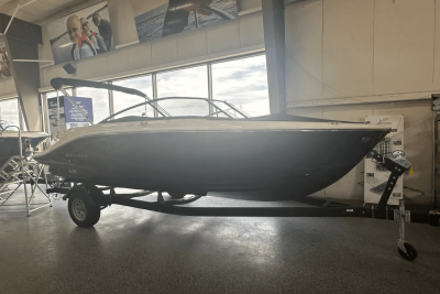 2025 Bayliner V20I