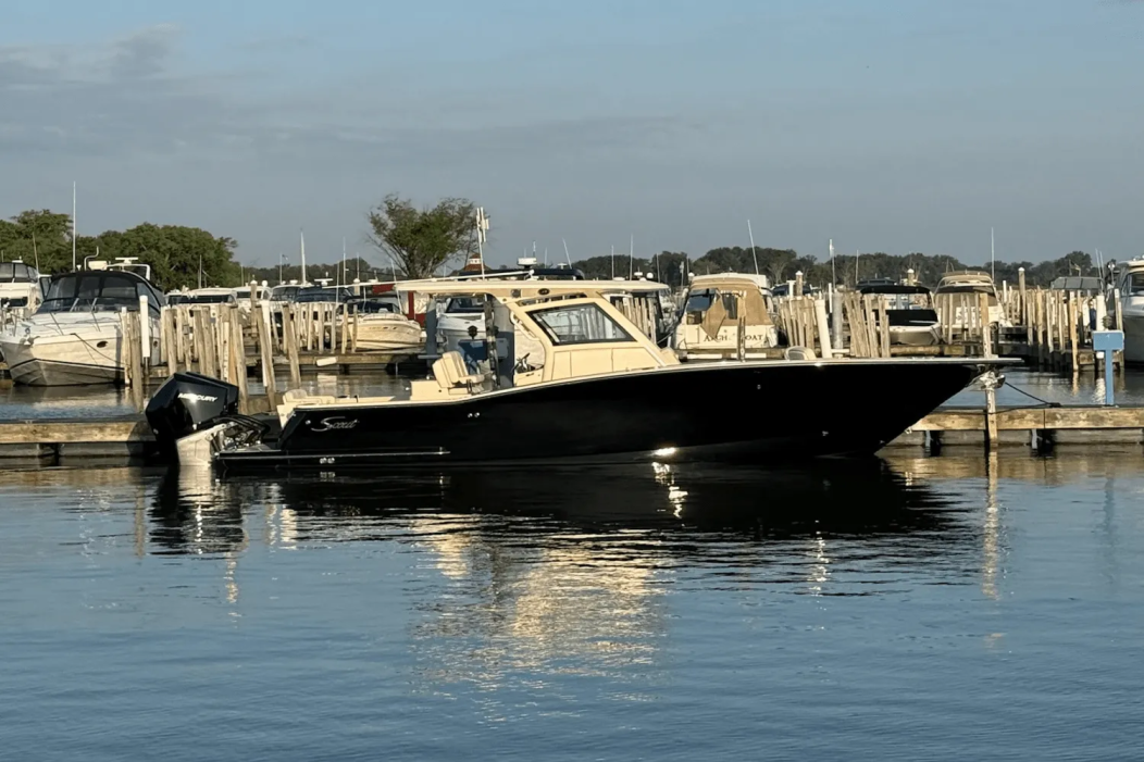 2025 Scout 305 LXF - For Sale at Harrison Township, MI 48045 - ID 590774