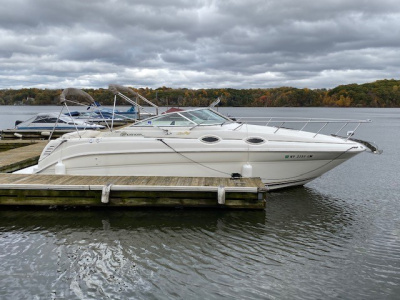 1999 Sea Ray 260