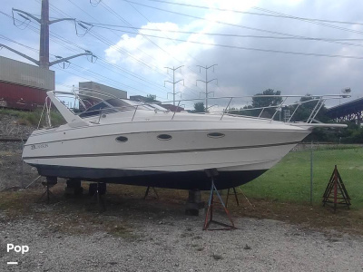 1997 Larson Cabrio 310