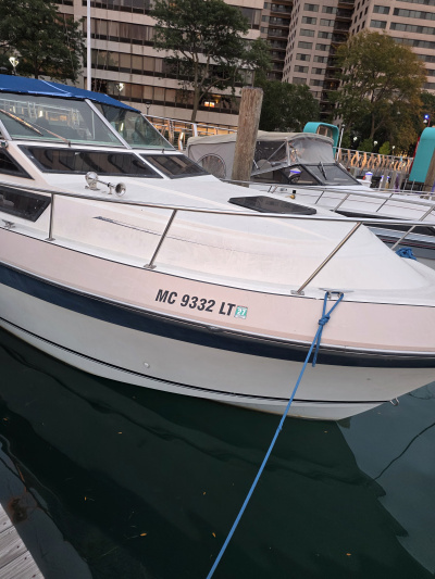 1985 Cruisers Vee Express