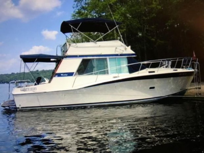 1975 Bayliner Montego