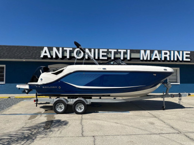 2025 Bayliner D22 Deck Boat