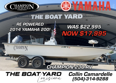 2002 Champion 230-RV