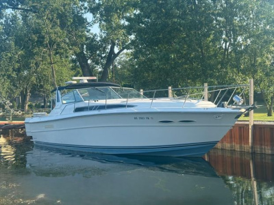 1989 Sea Ray 390 Express Cruiser