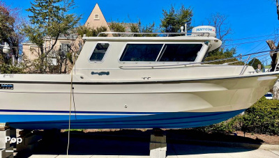 2001 Sea Sport 2400 LX Explorer