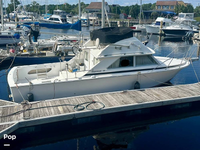 1975 Bertram 28 Flybridge Sportfisherman