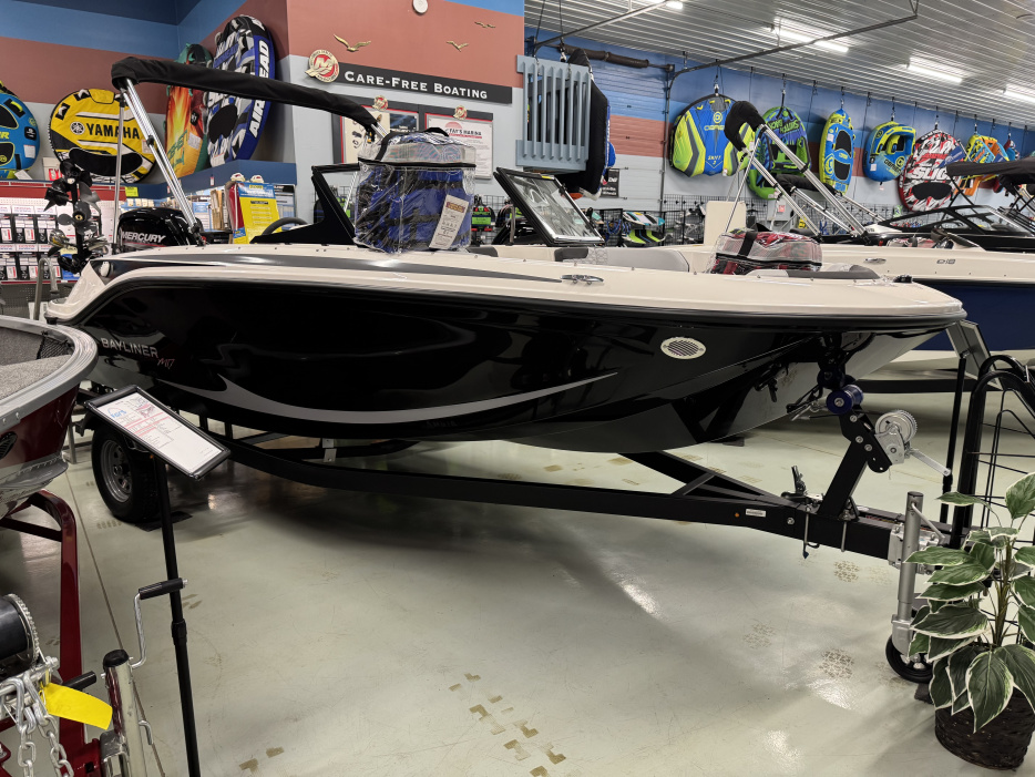 2025 Bayliner ELEMENT M17 - For Sale at La Porte, IN 46350 - ID 570959