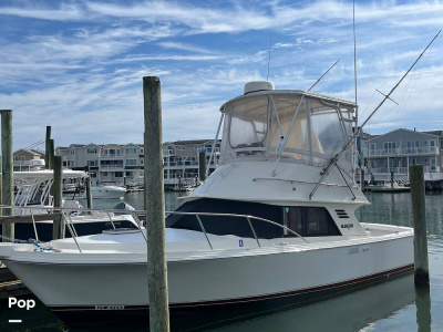 1988 Blackfin 29 Flybridge