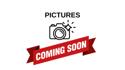 2019 Cobalt R30 Bowrider