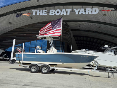 2010 Pioneer 220 BAY