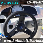 2025 Bayliner