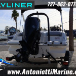2025 Bayliner