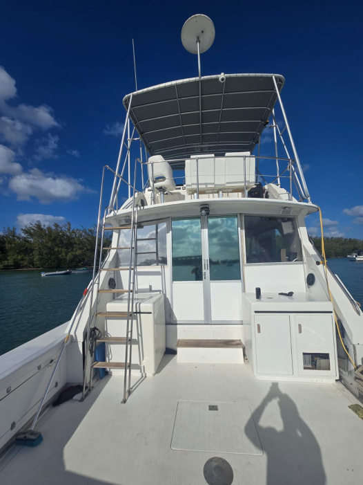 1977 Bertram 46 Convertible - For Sale at Coconut Grove, FL 33133 - ID 597871