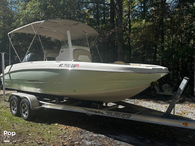 2018 Stingray 206 CC