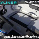 2025 Bayliner