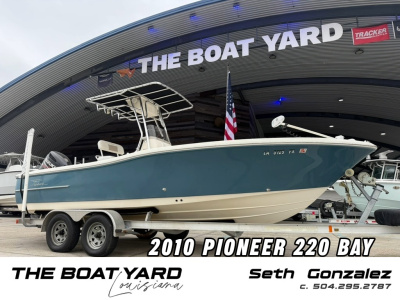 2010 Pioneer 220 BAY
