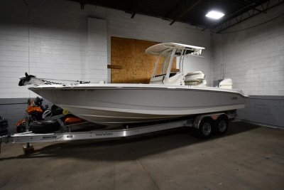 2022 Boston Whaler 250 Dauntless