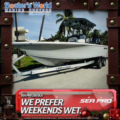 2026 Sea Pro 250 DLX