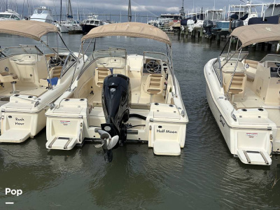 2023 Scout 210 Dorado