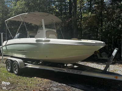 2018 Stingray 206 CC