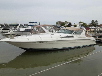 1993 Sea Ray 400