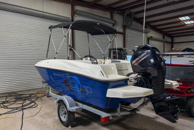 2020 Bayliner Element E16