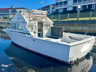 1975 Bertram 28 Flybridge Sportfisherman